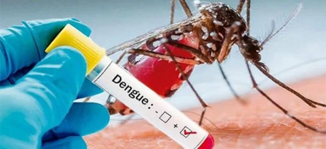dengue Fumigaciones contra el dengue