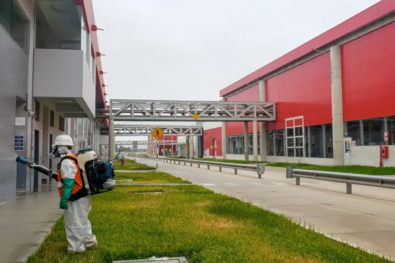 empresa de fumigacion